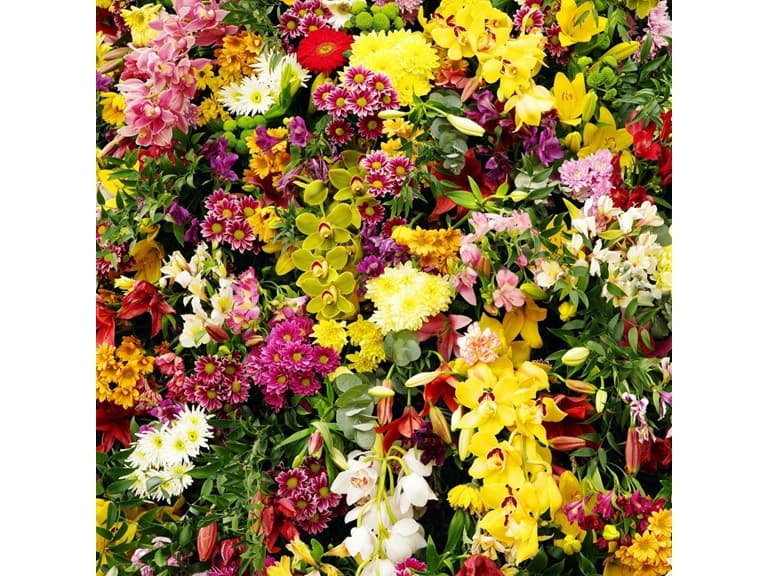 Summer Wedding Collection (100 Bulbs) - Image 1