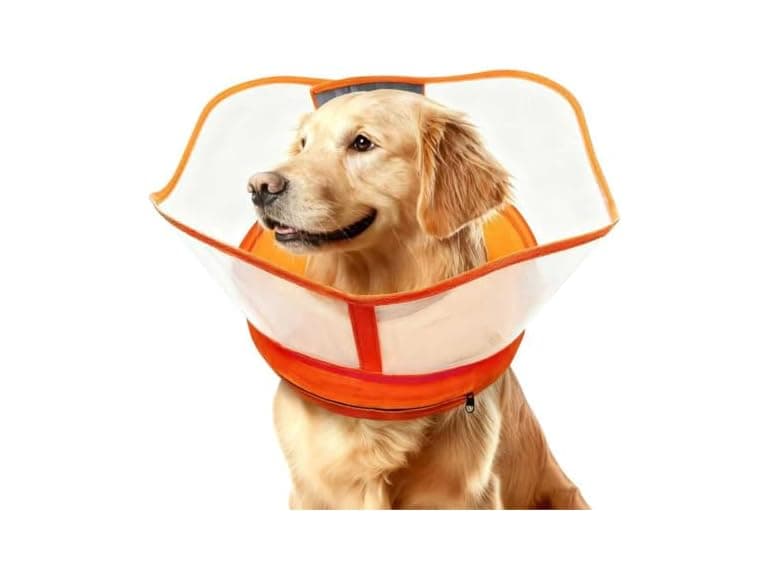 Lifnixer Inflatable Dog Cone, Orange XL - Image 1