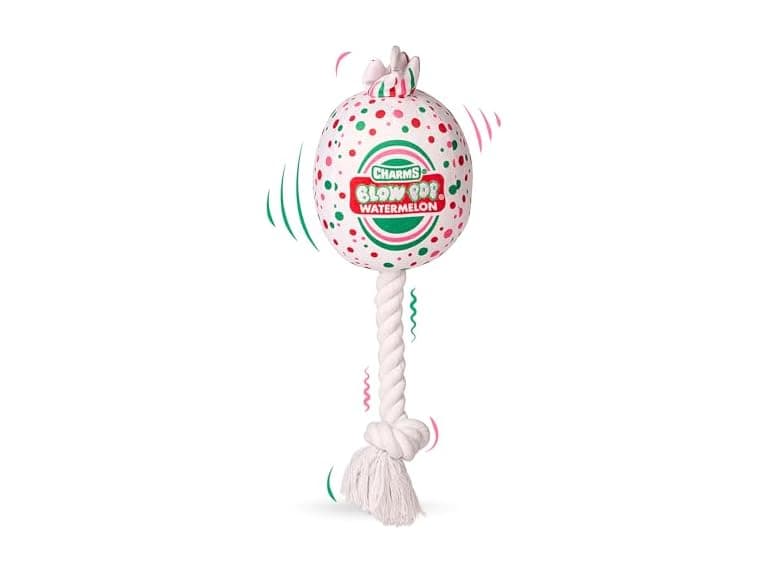 Tootsie Roll Blow Pop Plush & Rope Dog Toy- Cherry - Image 1