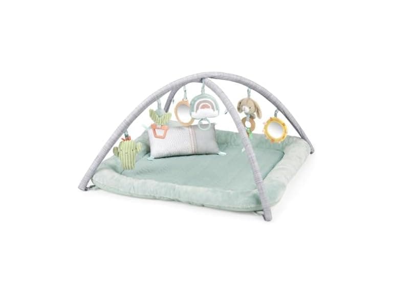 Ingenuity Calm Springs Plush Activity Gym - Image 1