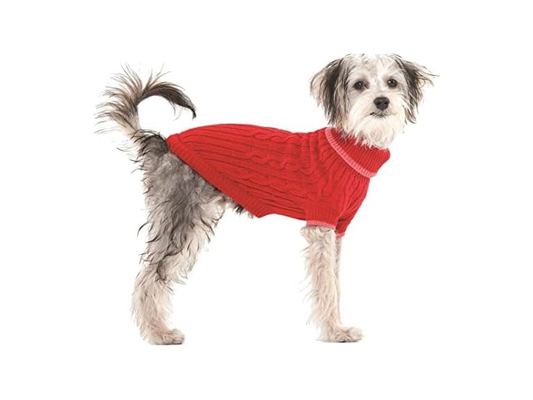 SPOT Fashion Pet (Ethical) Classic X-Large-Red