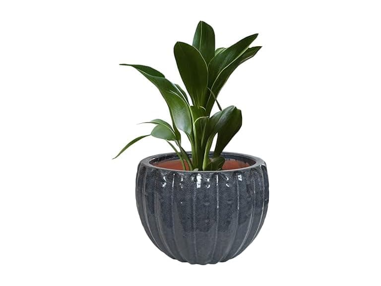 Sunnydaze 13.5" Fluted Ceramic Plant Pot - Image 1