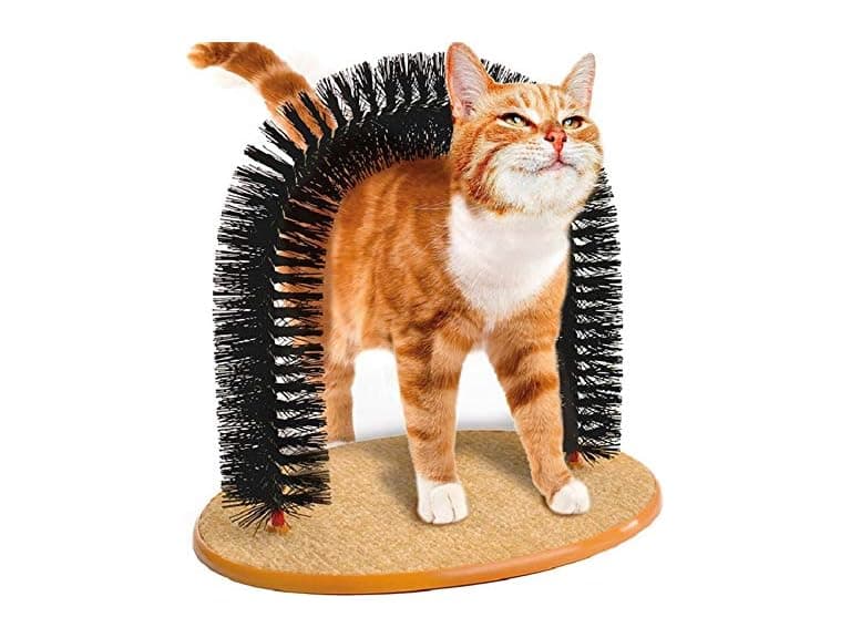 BUYTER Cat Massage Scratching Bristle Arch - Image 1