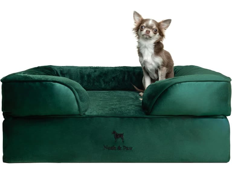 NOAH & PAW Dog/Cat Sofa- Medium - Image 1