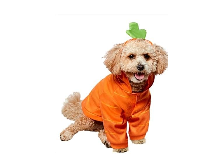 Rubies Carrot Pet Costume for Dogs or Cats - Image 1