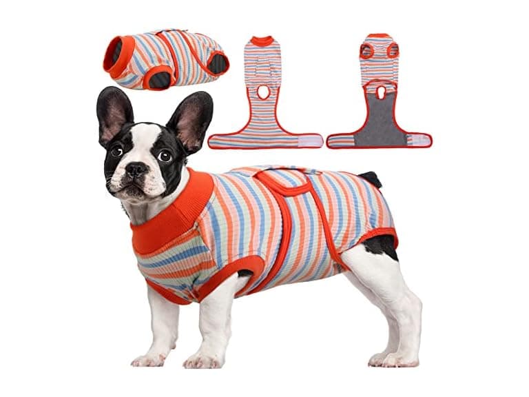 Surgery Recovery Suit for Dogs Cats - Image 1