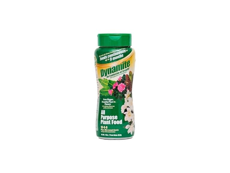Dynamite All Purpose Plant Food 1-Pound - Image 1
