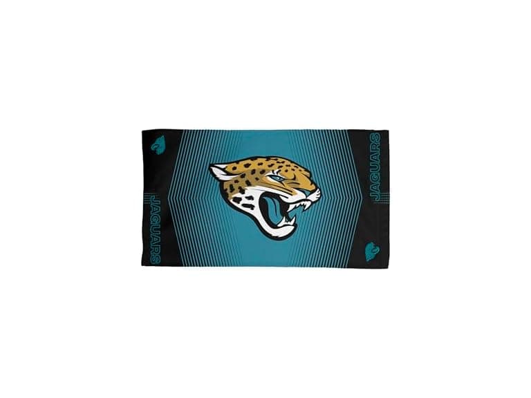 JACKSONVILLE JAGUARS NFL Hussle X Inches - Image 1