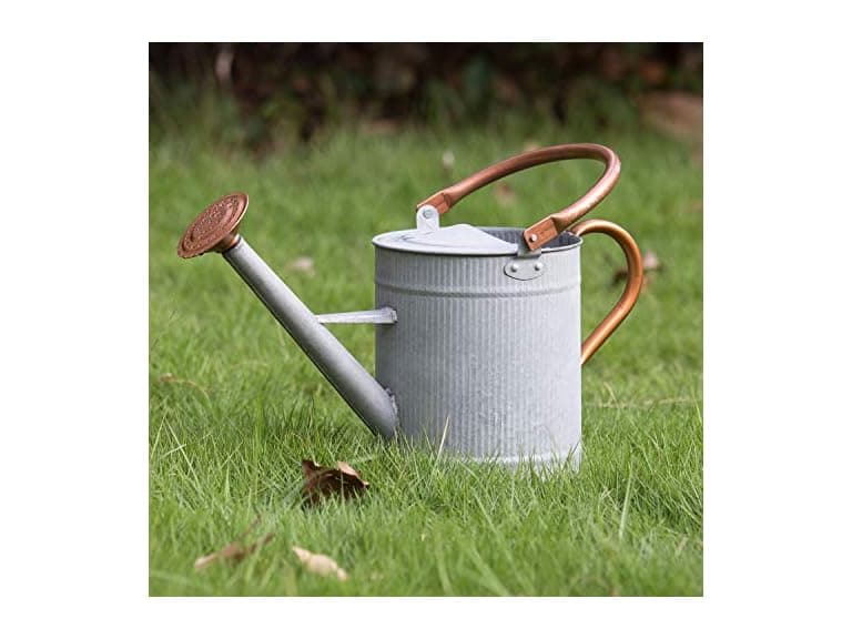 HORTICAN 1 Gallon Metal Watering Can - Image 1