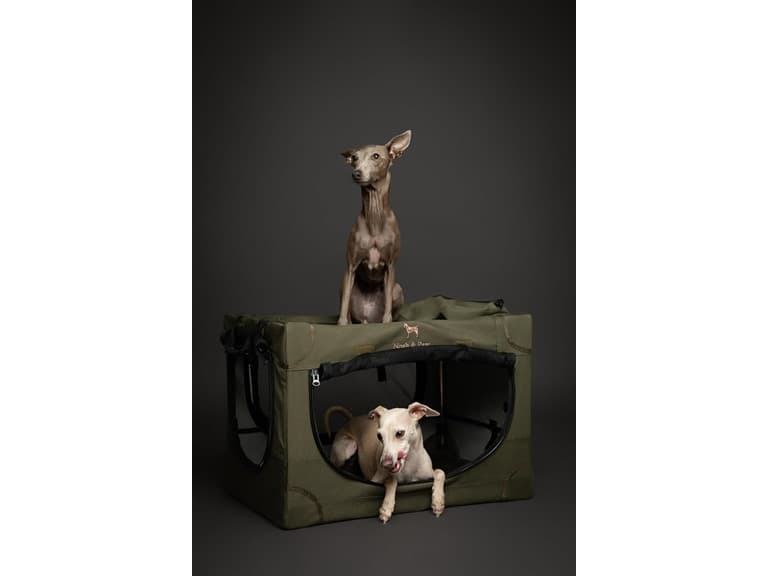 NOAH & PAW Collapsible Dog Crate- Medium - Image 1