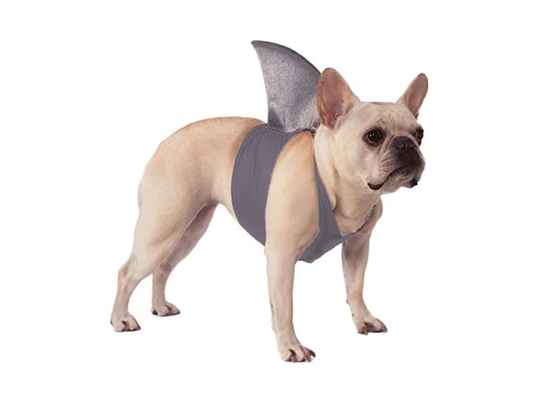 Rubies Shark Fin Pet Costume for Dogs or Cats, S/M - Image 1