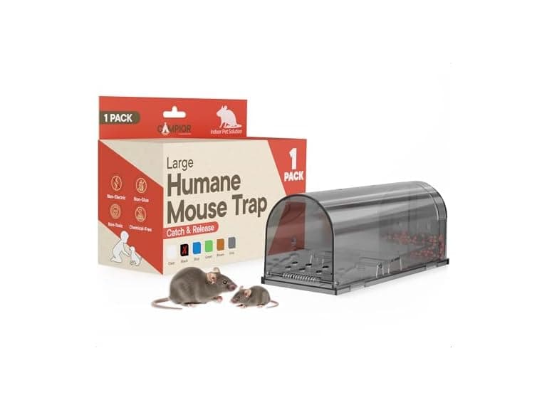 Live Mouse Trap 7.87" Black - Image 1
