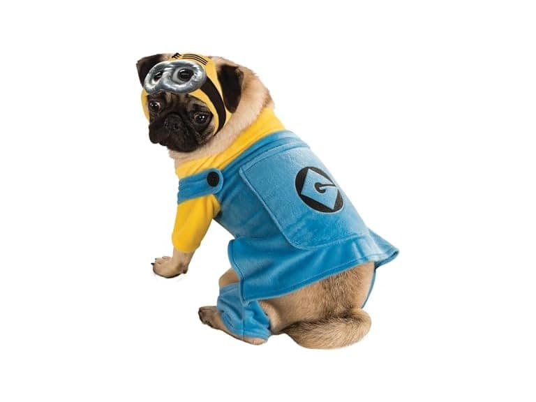 Despicable Me: Minion Pet Costume, M - Image 1