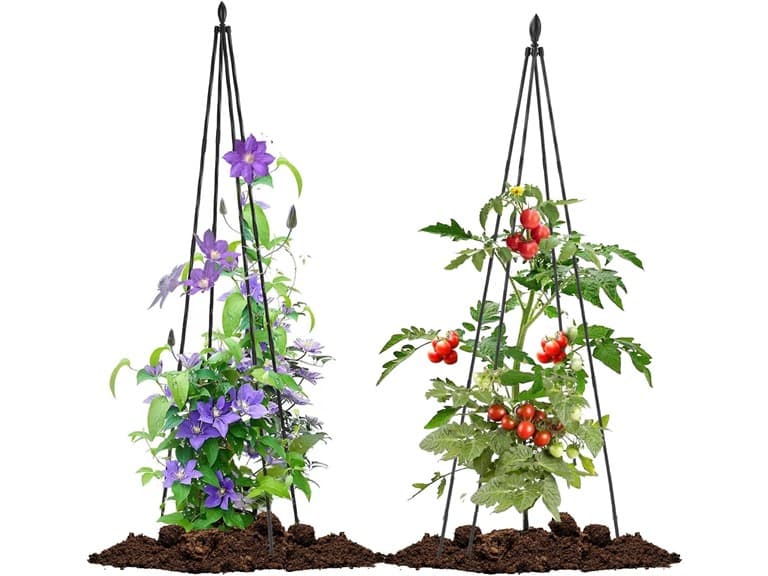 (Pack of 2) lalahoni Garden Trellis | Teepee | 67in - Image 1