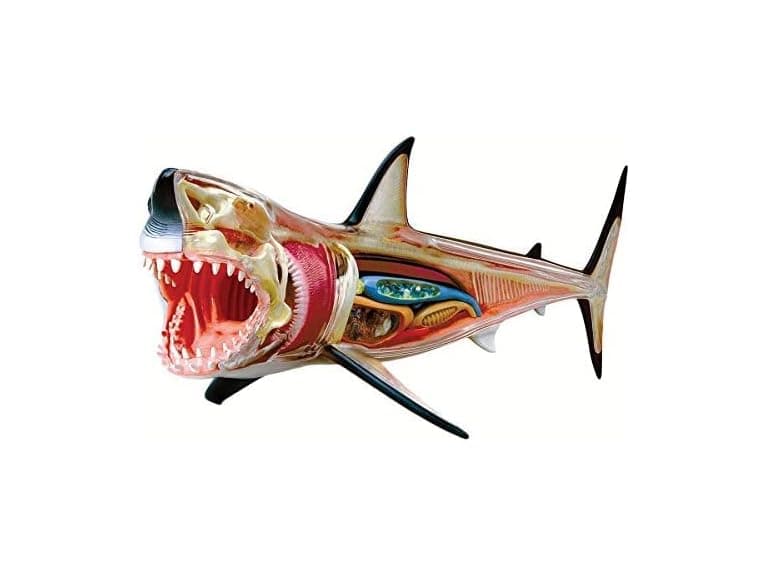 TEDCO 4D Vision Great White Shark Puzzles - Image 1