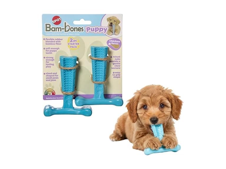 SPOT Bam-Bones Puppy T-Bone Dog Chew Toys, 2PK Blue - Image 1