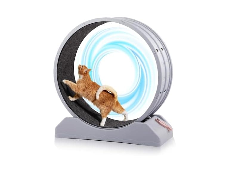 Outvita Cat Wheel, PP Plastic Cat Exercise Wh - Image 1