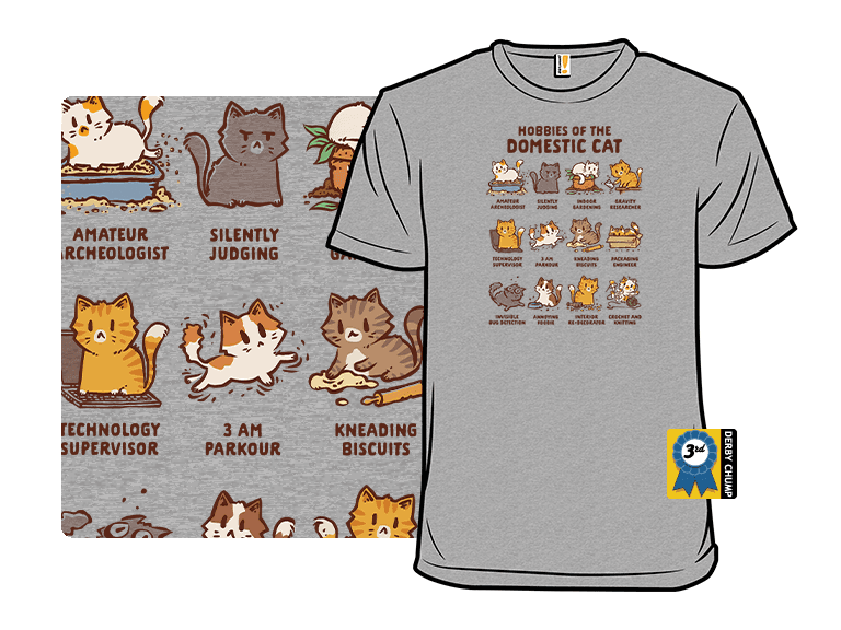 Cat Hobbies - Image 1
