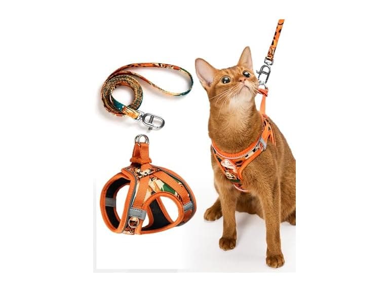 PetThem Cat Harness and Leash Set - Image 1