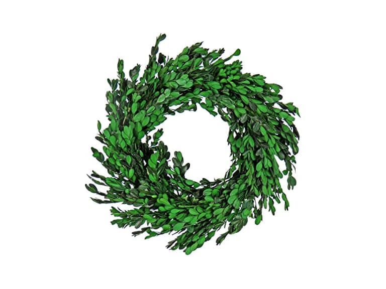 National Tree Company 18" Boxwood Wreath - Image 1