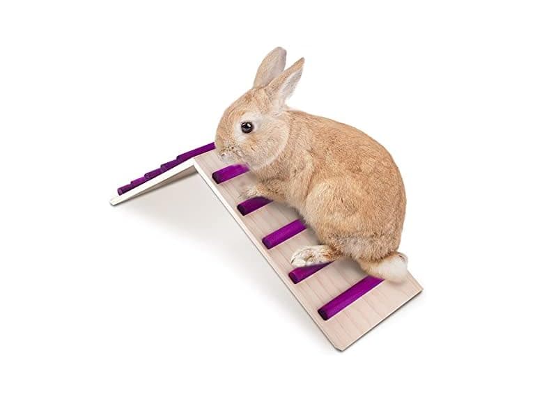 KREVEROY Wood Bridge for Small Animal Cage - Image 1