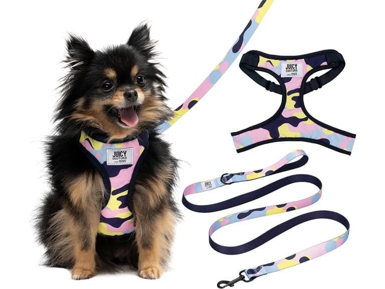 Juicy Couture Colorful Camo Dog Harness and Leash - Image 1