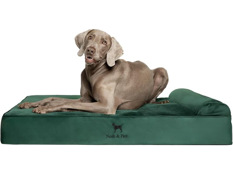 NOAH & PAW Orthopedic Dog Beds- XLarge - Image 1
