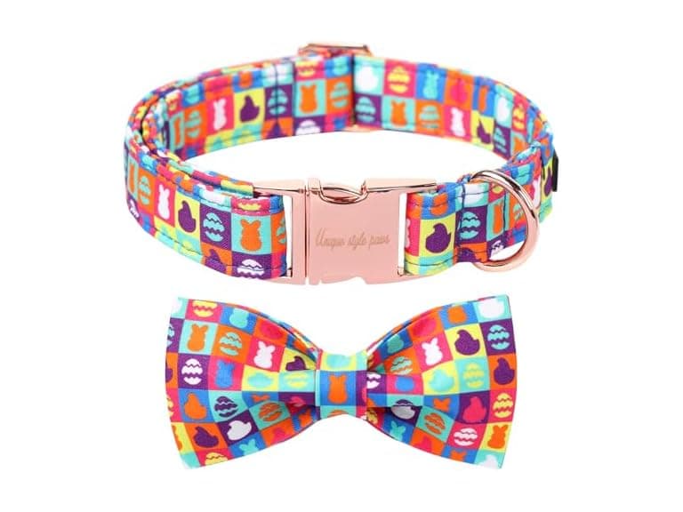 Unique Style Paws Easter Day Dog Collar with Bow - Image 1