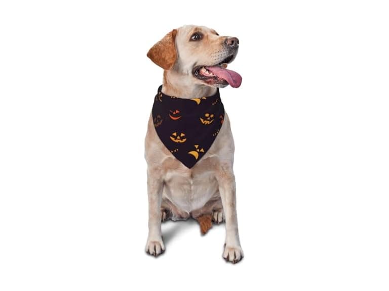 vercosee Halloween Dog Bandana - Image 1