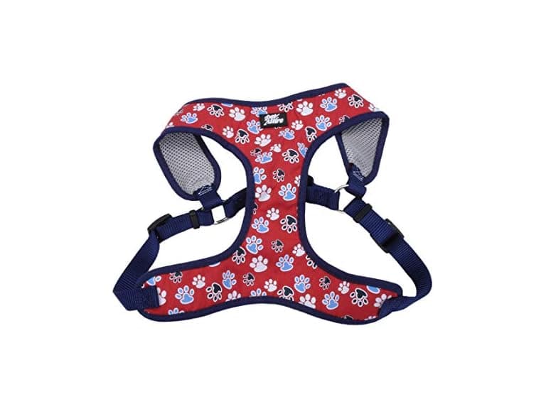 Coastal Pet Ribbon Designer Wrap Adjustable D - Image 1