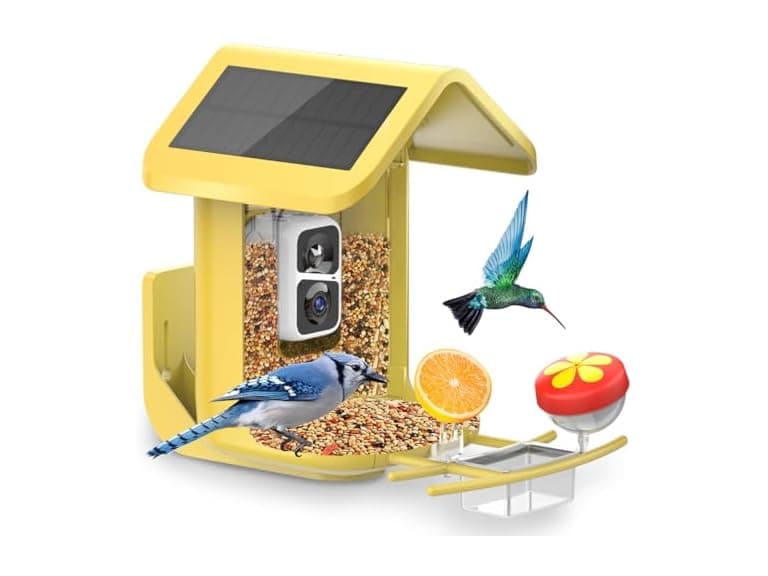 Bird Feeder with Camera Solar Powered - Image 1
