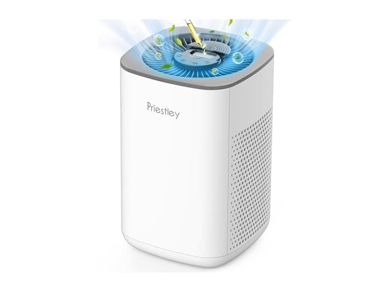Air Purifier with Essential Oil Diffuser
