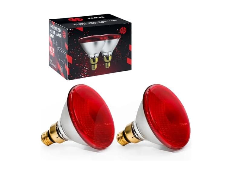 SFYJZJUUS 175 Heat Lamp Bulbs - Image 1