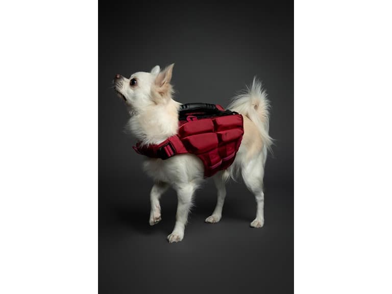 NOAH & PAW Dog Life Jacket- XSmall - Image 1