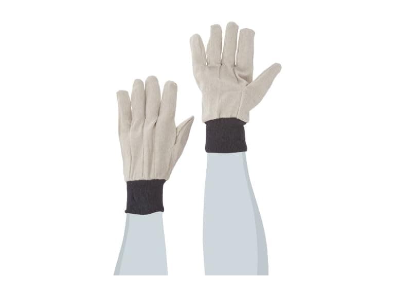 West Chester Polyester Cotton Lightweight Canvas Glove, 10.5 in, Large - Image 1