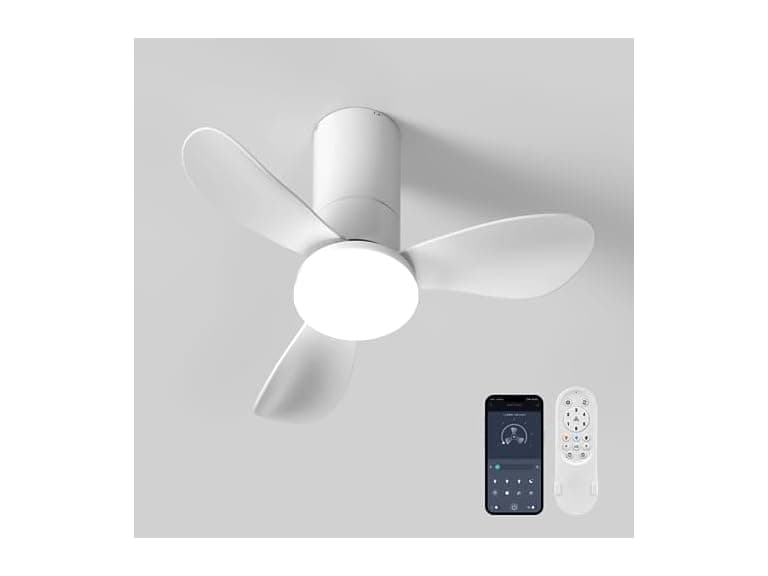 26 Inch Ceiling Fans with Lights