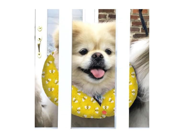 Puppy Bumpers Honey Bee - Made in USA - Image 1