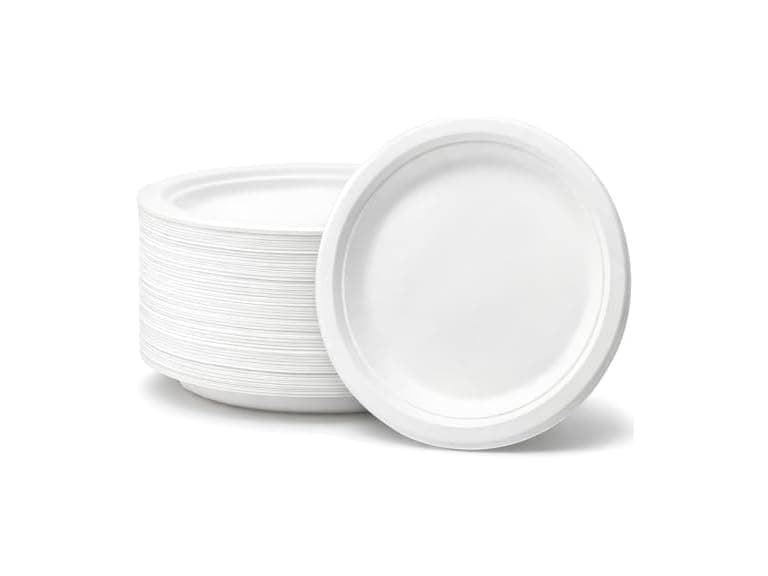 Sugarcane Paper Plates 9" 100ct - Image 1