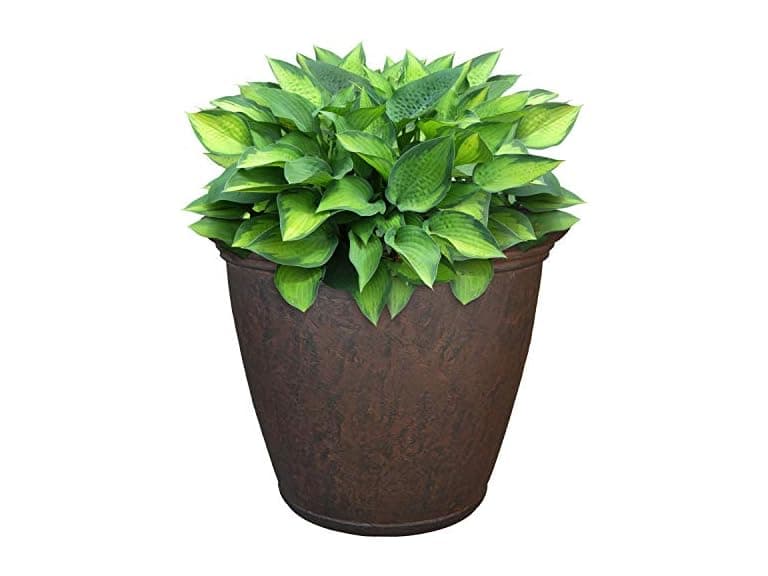 Sunnydaze 15.25-Inch Anjelica Large Plastic Pot - Image 1