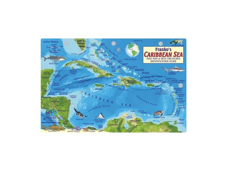 Caribbean Sea Fish ID Card & Island Map - Image 1