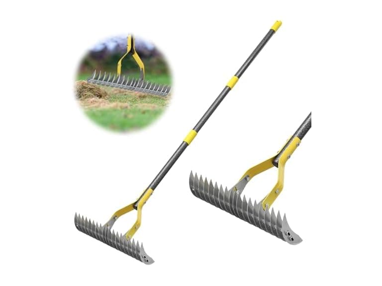 Thatch Rake, 2-in-1 - Image 1