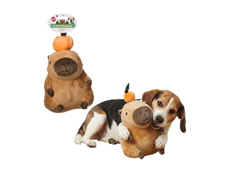 SPOT Capybara with Orange Plush Dog Toy - Image 1