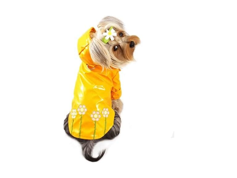 KLIPPO Dog/Puppy Daisy Waterproof Jacket - Image 1