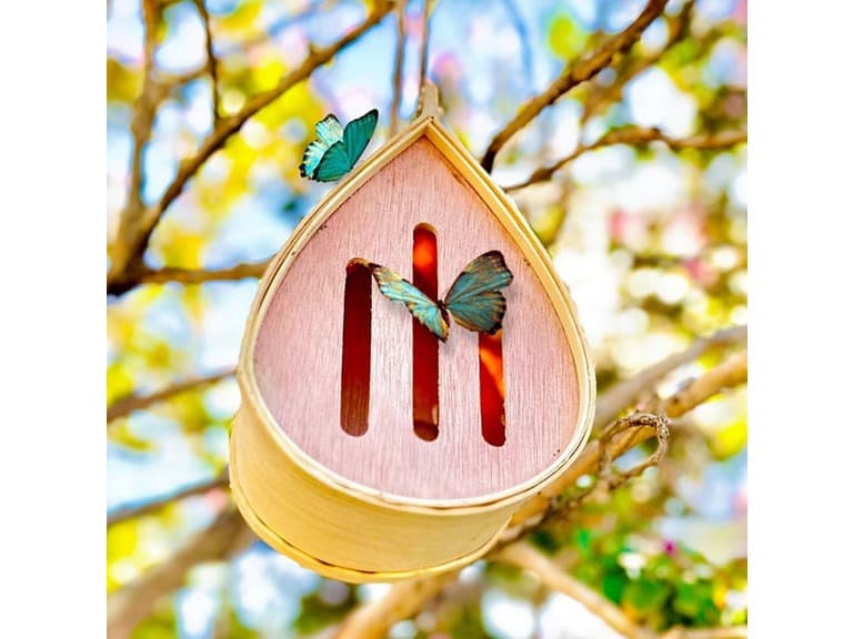 Pollinating Palace - Butterfly House - Image 1