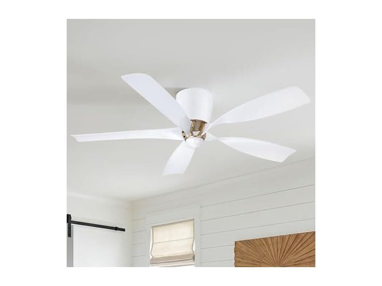 Parrot Uncle 52 Inch Ceiling Fan Modern without Light