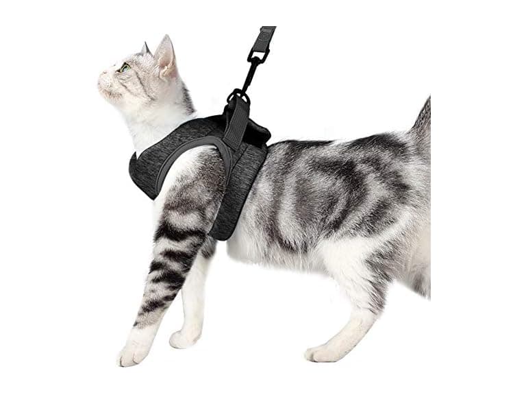 PJDDP Small Cat Harness with Leash - Image 1
