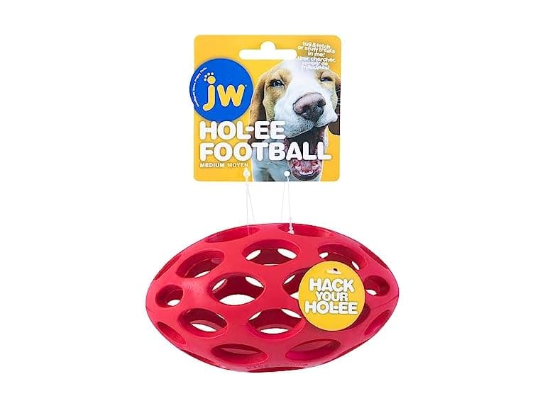 JW Pet Hol-ee Water Bottle Dog Toy, Not a Chew Toy, Medium - Image 1