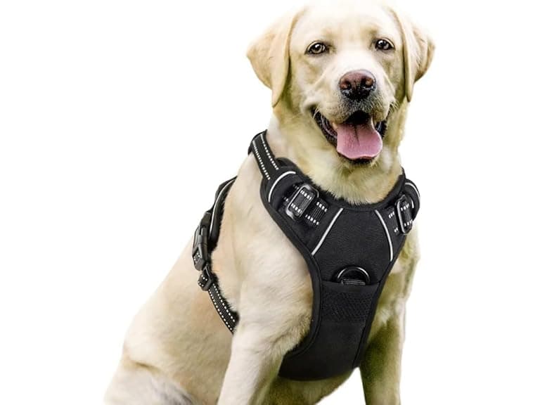SWZEC No Pull Dog Harness Black - Image 1