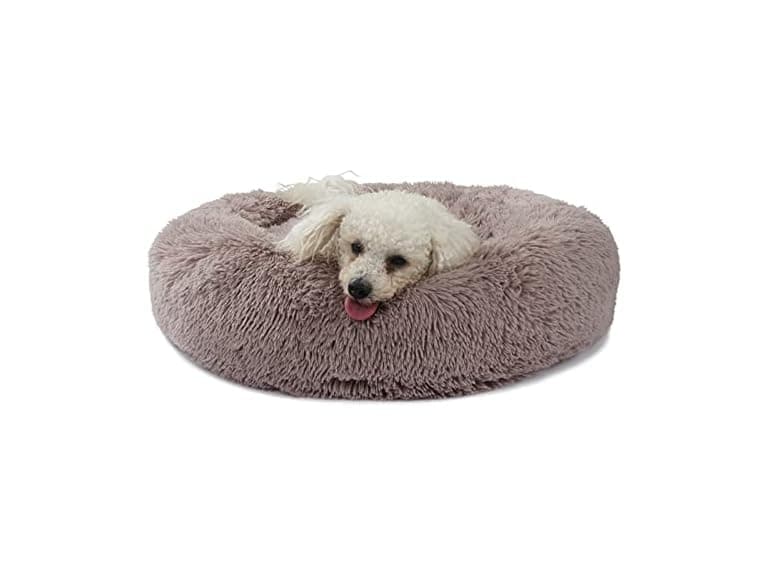 Dog Beds for Medium Dogs Washable Orthopedic  - Image 1
