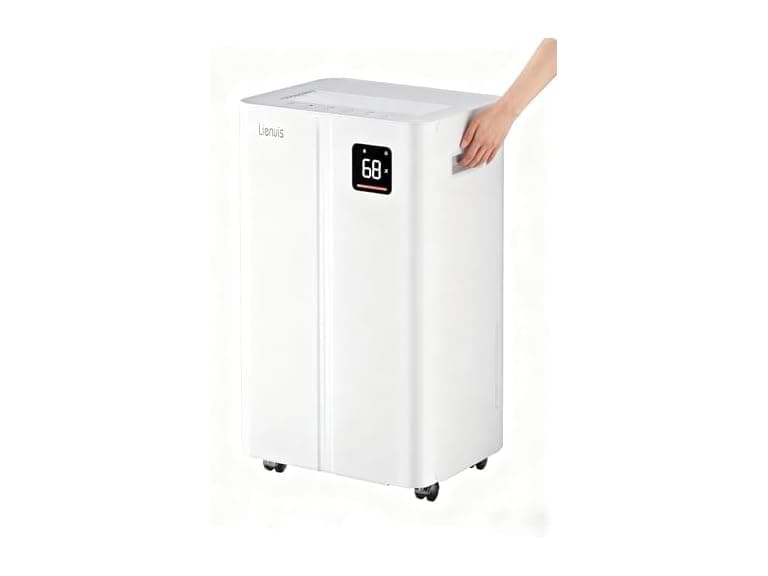 Lienuis Dehumidifier for Basement - Image 1